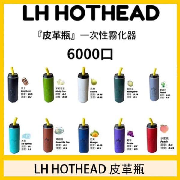 LH HOTHEAD皮革瓶電子煙可充電6000口一次性